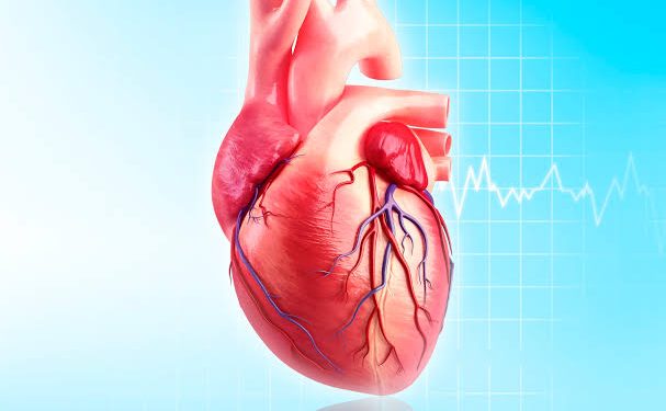 El Descubrimiento del Océano Pacífico