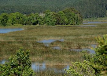 El Descubrimiento del Océano Pacífico