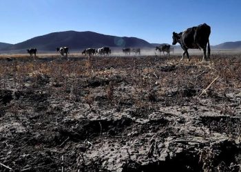 El Descubrimiento del Océano Pacífico