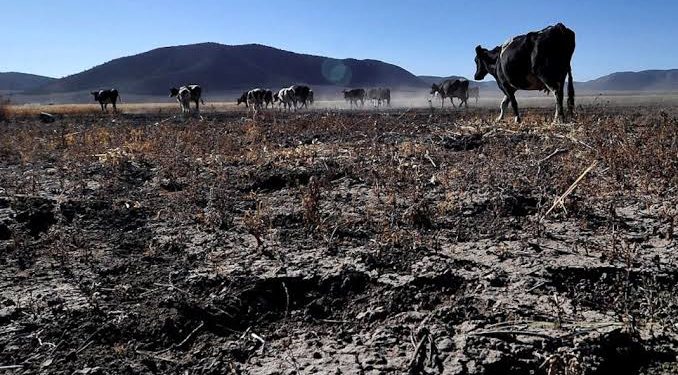 El Descubrimiento del Océano Pacífico