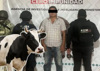 Onda Tropical Número 35: Alerta en Veracruz por Posibles Inundaciones