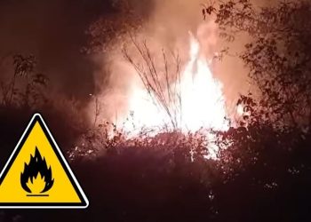 Onda Tropical Número 35: Alerta en Veracruz por Posibles Inundaciones