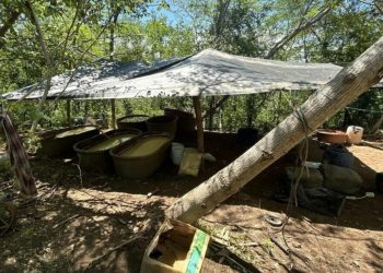 Autoridades aseguran 21 toneladas de metanfetamina en Durango y desmantelan dos narcolaboratorios