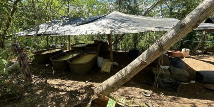Autoridades aseguran 21 toneladas de metanfetamina en Durango y desmantelan dos narcolaboratorios