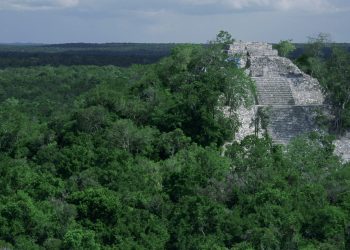 Semarnat entabla diálogo tras protesta de Greenpeace por la selva maya