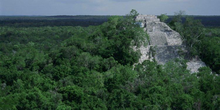 Semarnat entabla diálogo tras protesta de Greenpeace por la selva maya