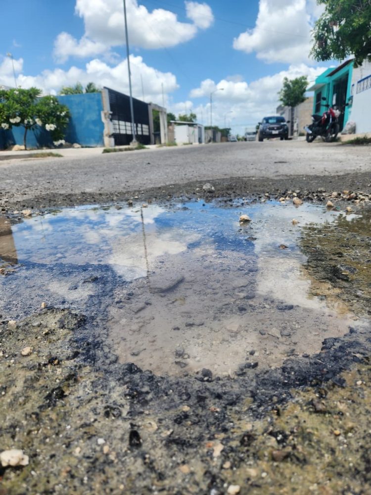 La prepotencia y abusos de Francisco (Panchito) Torres Rivas tiene a Japay al borde del colapso, empleados podrían ir a huelga