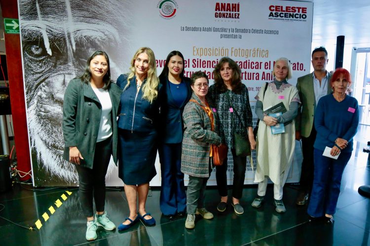 Anahí González impulsa el Humanismo Mexicano en el Senado con la defensa del bienestar animal