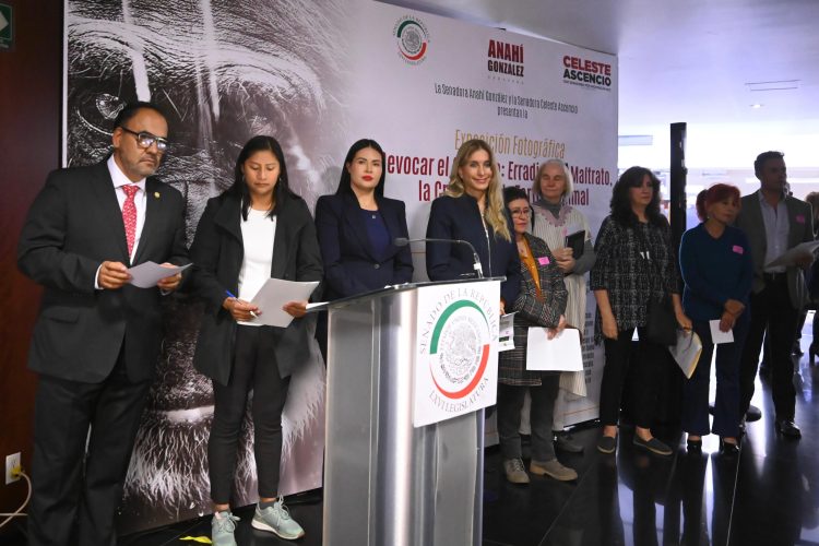 Anahí González impulsa el Humanismo Mexicano en el Senado con la defensa del bienestar animal