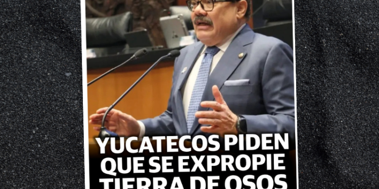 Periódico #18 Yucatán Año XI