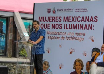 Chapultepec revela una nueva especie de luciérnaga: ciencia y ciudadanía iluminan la ciudad