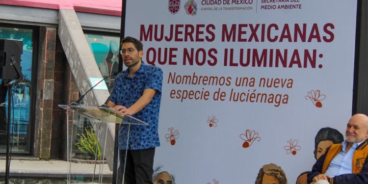 Chapultepec revela una nueva especie de luciérnaga: ciencia y ciudadanía iluminan la ciudad