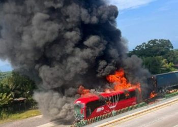 Autobús se incendia tras choque en autopista Córdoba-Veracruz; 14 personas resultan heridas