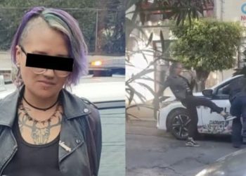 Lady Patadas: la sanción que podría enfrentar la mujer que agredió a un policía