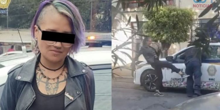 Lady Patadas: la sanción que podría enfrentar la mujer que agredió a un policía