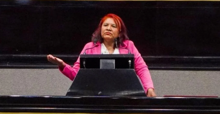 Diputada de Morena propone enviar café veracruzano a Marte