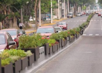 Jardineras de paseo Tabasco inservibles