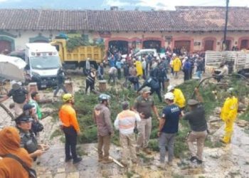 Tras el tornado “Culebra”, San Cristóbal de las Casas trabaja en rescate y limpieza
