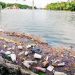 Autoridades realizan muestreo en Laguna de las Ilusiones para evaluar contaminación