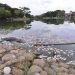 Por contaminación y falta de oxigenación mueren peces en La laguna de las ilusiones: especialista
