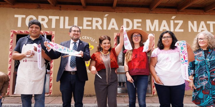 Inauguran la primera tortillería de maíz nativo en la CDMX; kilo costará 22 pesos