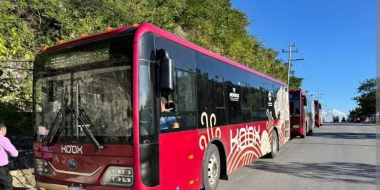 Ko’ox seguirá gratis: respiro económico para estudiantes y trabajadores