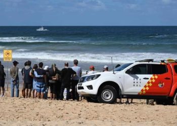 Surfista muere tras ataque de tiburón en playa de Sídney