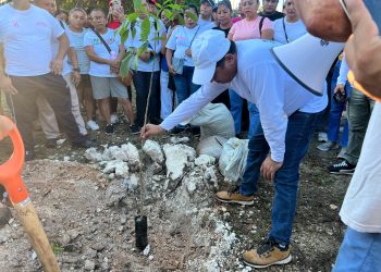 Arboriza Cancún podría extenderse a planchas de concreto en Villas Otoch