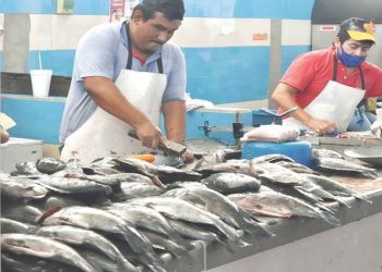 Javier May gestionará venta de tilapia tabasqueña en la CDMX y el Edomex