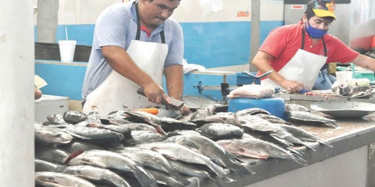 Javier May gestionará venta de tilapia tabasqueña en la CDMX y el Edomex