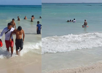 Guardavidas salvan a dos hombres de ahogarse en Playa del Carmen