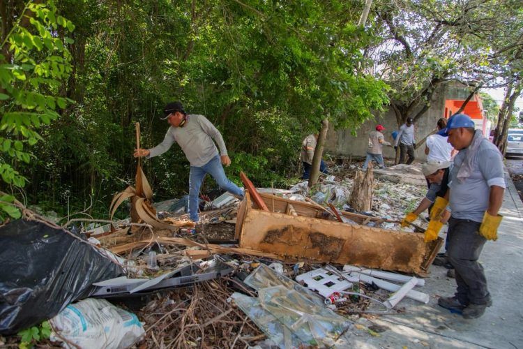 Estefanía Mercado responde con soluciones de descacharrización y desazolve de pozos en la colonia Ejido