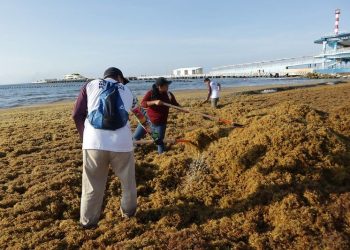 Quintana Roo evalúa minuciosamente planta de biogás para sargazo