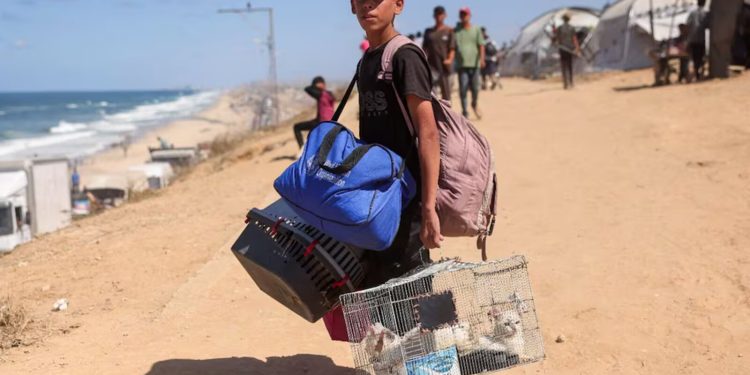 México abrirá sus puertas a niñas y niños palestinos que requieran atención médica