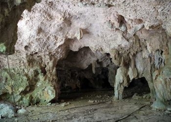 Denuncian más de 120 cuevas afectadas por el Tren Maya en Quintana Roo