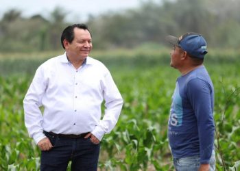 Impulsan el campo yucateco con mecanización de tierras