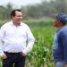Impulsan el campo yucateco con mecanización de tierras