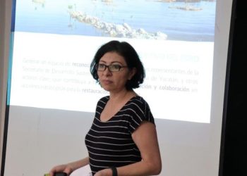 Unen esfuerzos por la conservación de los manglares de Yucatán