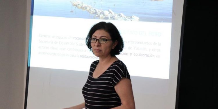 Unen esfuerzos por la conservación de los manglares de Yucatán