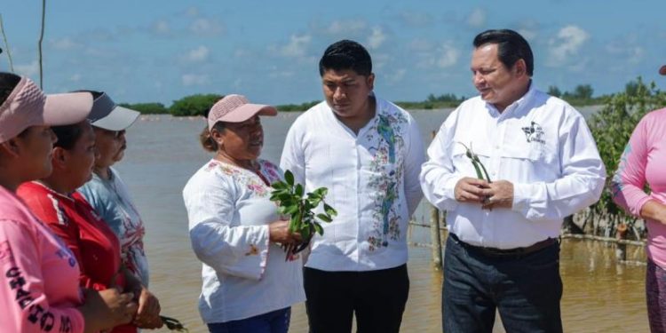 Yucatán lanza estrategia integral para restaurar ecosistemas costeros