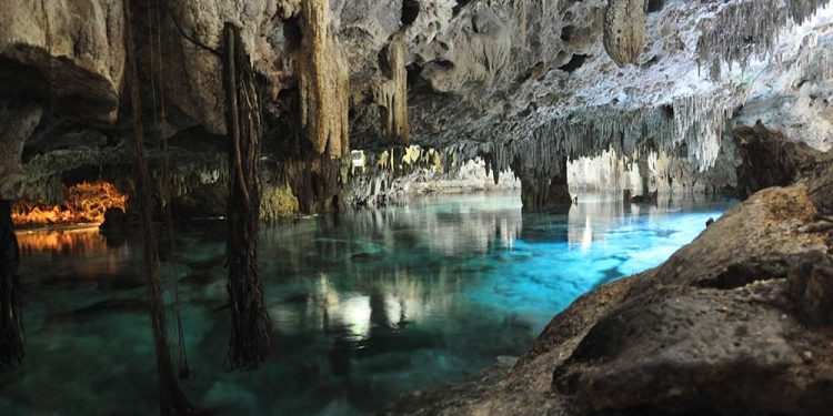 Autorizan operación del parque ecoturístico ‘Aktun Chen Park’ en Tulum