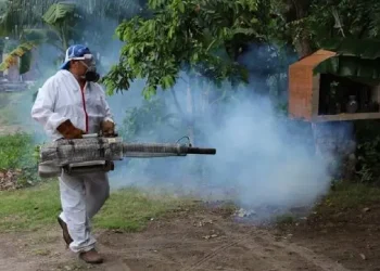 Tabasco desciende al sexto lugar nacional en casos de dengue: Secretaría de Salud