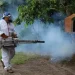 Tabasco desciende al sexto lugar nacional en casos de dengue: Secretaría de Salud