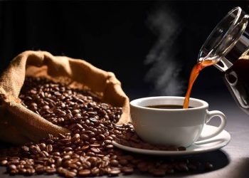 Nogales Enfrenta Consecuencias de Inundaciones