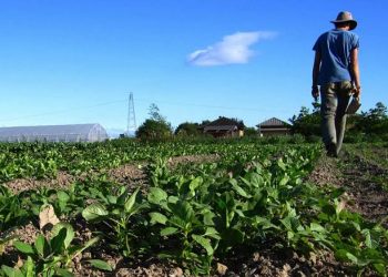 Fortaleciendo la Seguridad en Veracruz