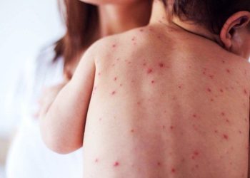 Fortaleciendo la Seguridad en Veracruz