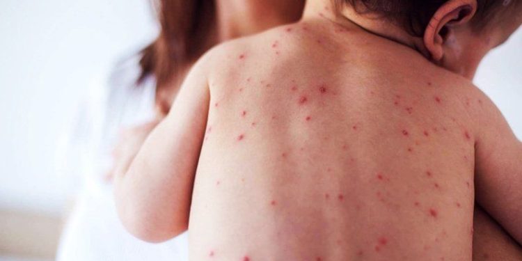 Fortaleciendo la Seguridad en Veracruz