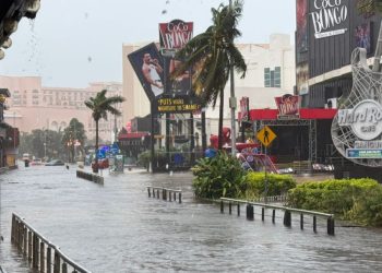 Fin de la Temporada de Sargazo en Quintana Roo