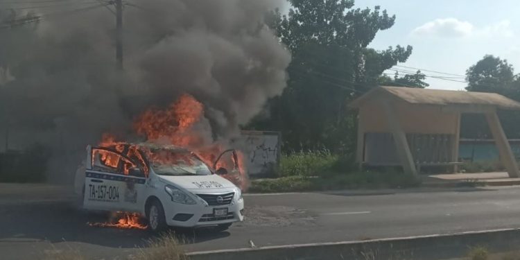 Capturan a «La Coyota» en Tabasco: Un Golpe al Crimen Organizado