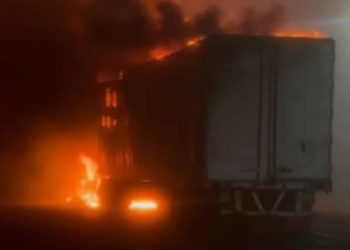 Asesinan a ex candidata del PT